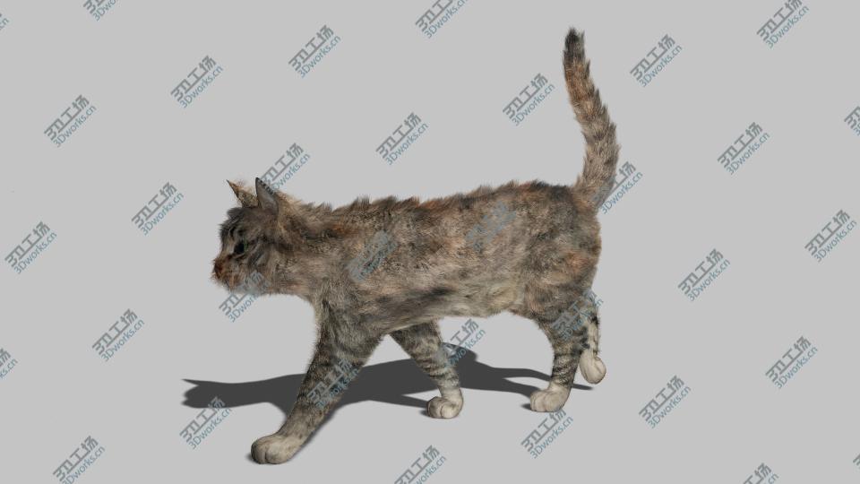images/goods_img/202104092/Cat - Rigged, Animated 3D/2.jpg